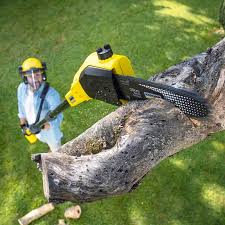 Best Lawn Grading and Leveling  in Middlebush, NJ